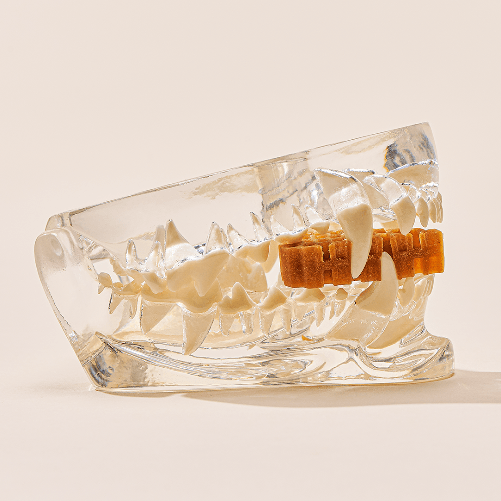 【by*Ref】蜂巢六角潔牙骨 雞肉 S