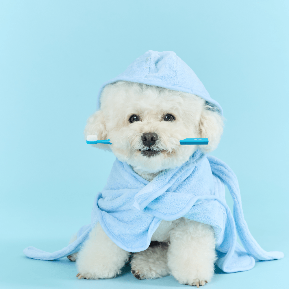 【by*Ref】ByePlaque 三角牙刷