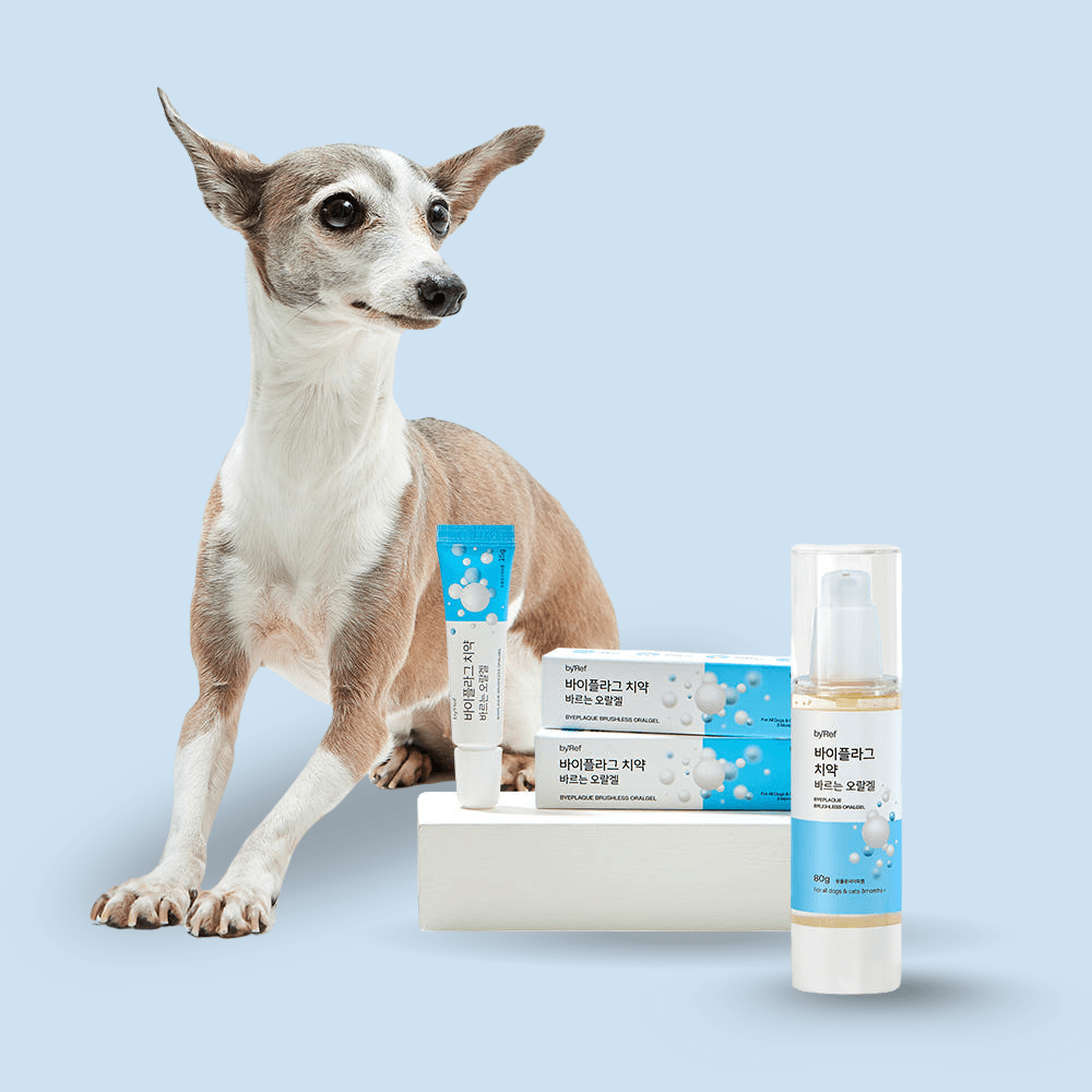 【by*Ref】ByePlaque 蜂凝牙膏 90g