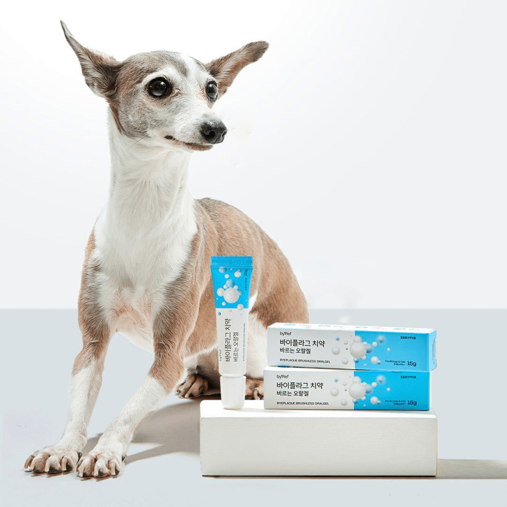 【by*Ref】ByePlaque 蜂凝牙膏 15g